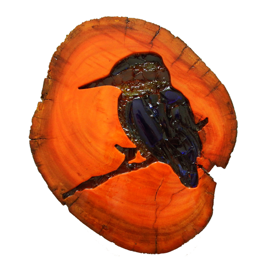 Red Gum Kōtare (Kingfisher)